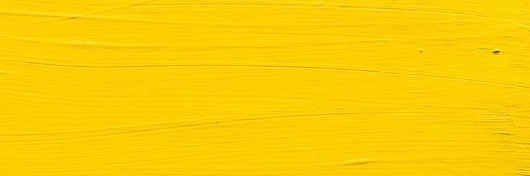 salensiu's profile banner image