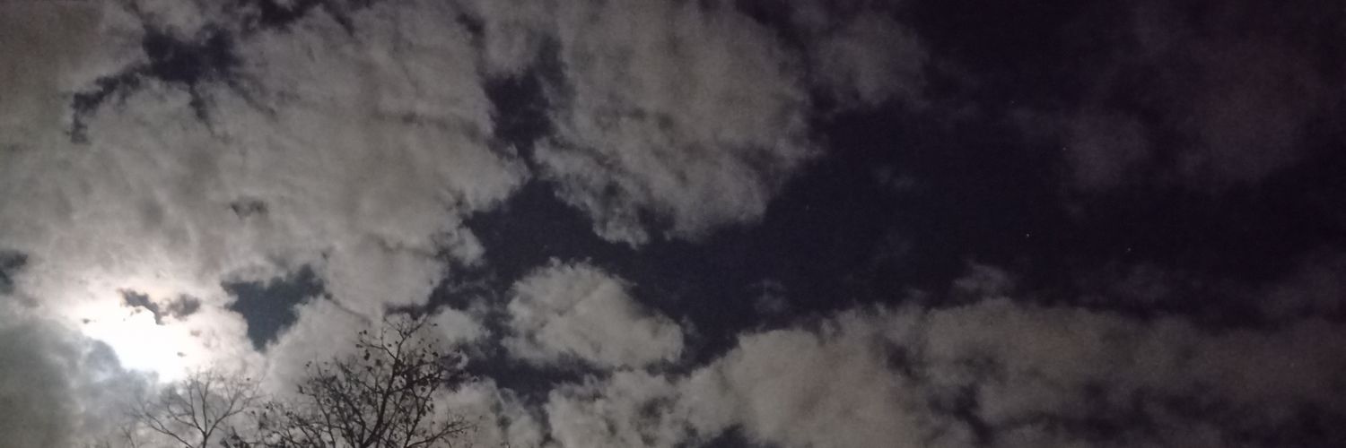 👩‍🦽 Wölfchen👩‍🦽📯 banner