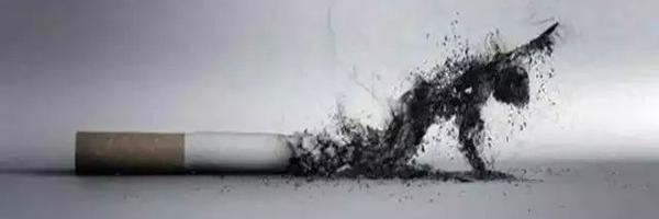 7_niky Profile Banner