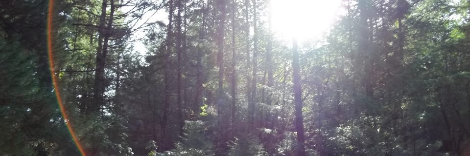 JasonBMurray's profile banner image