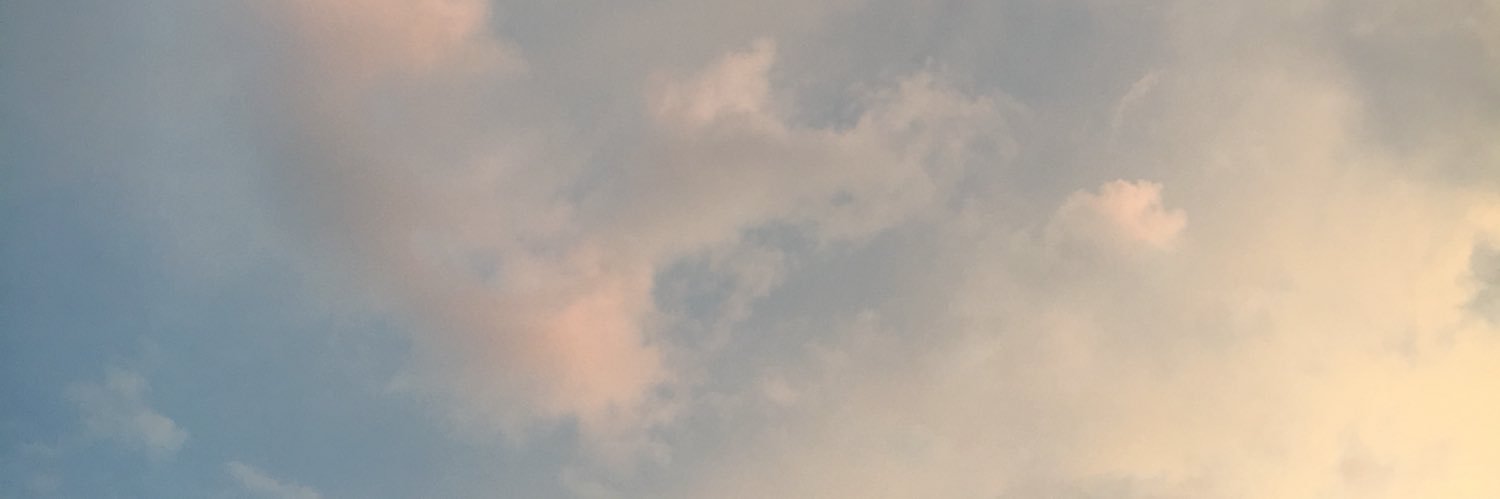 ModugnoSara's profile banner image