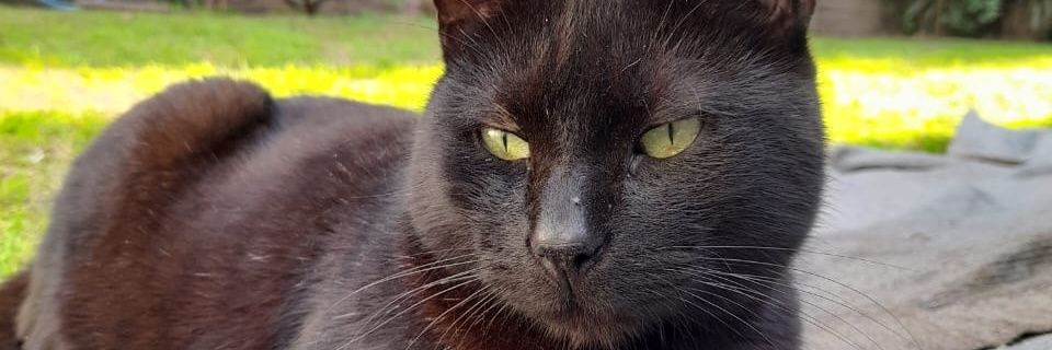 solojeda3's profile banner image