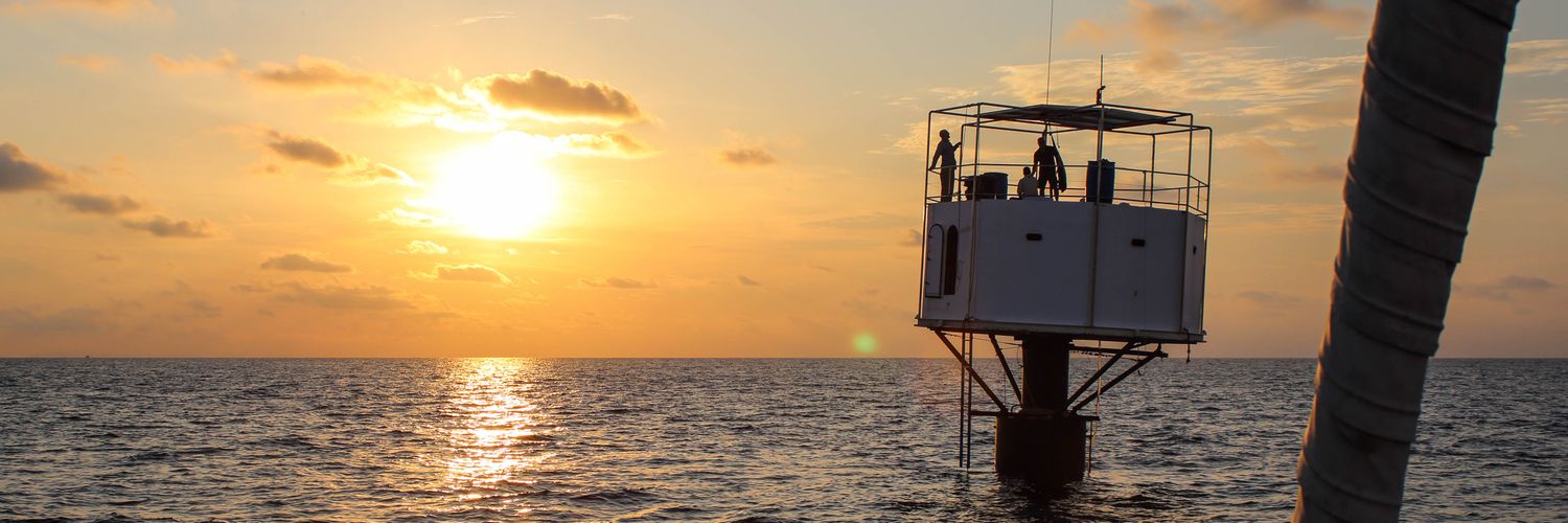 Chad Elwartowski banner