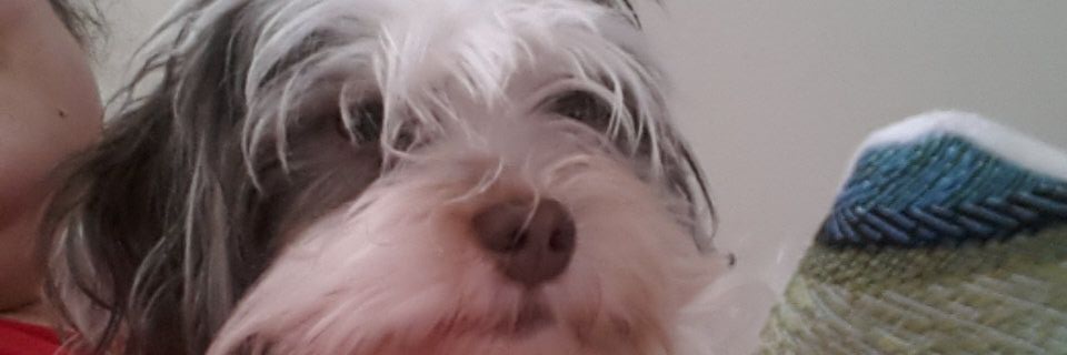 Betsy vasquez banner