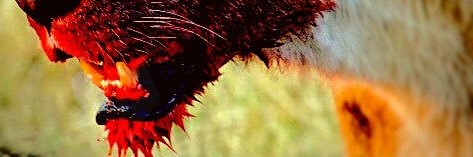 Wardinium's profile banner image