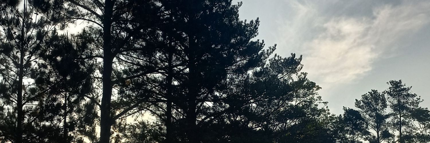 aguspokora's profile banner image