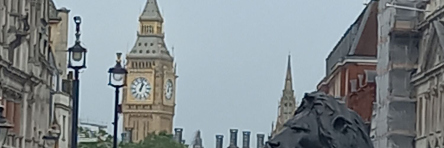 roxrug's profile banner image
