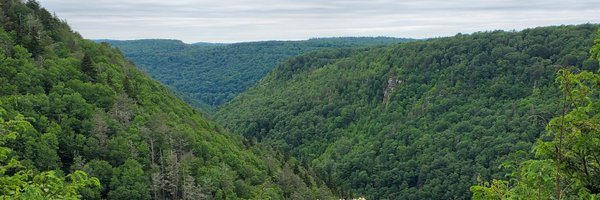 NoahWrites1 Profile Banner