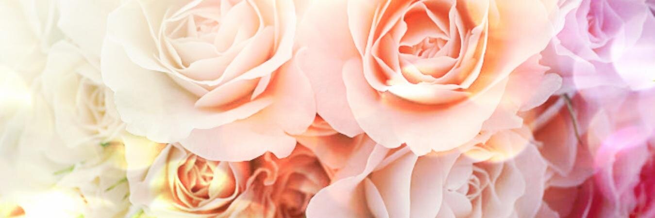 isophyee's profile banner image