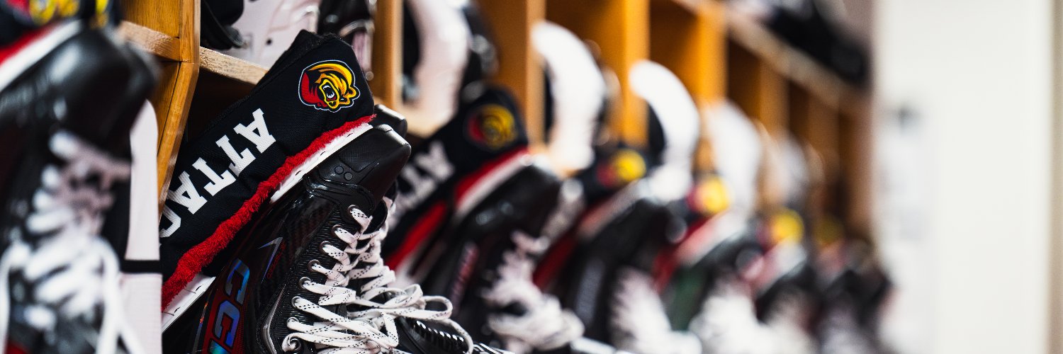 Owen Sound Attack banner