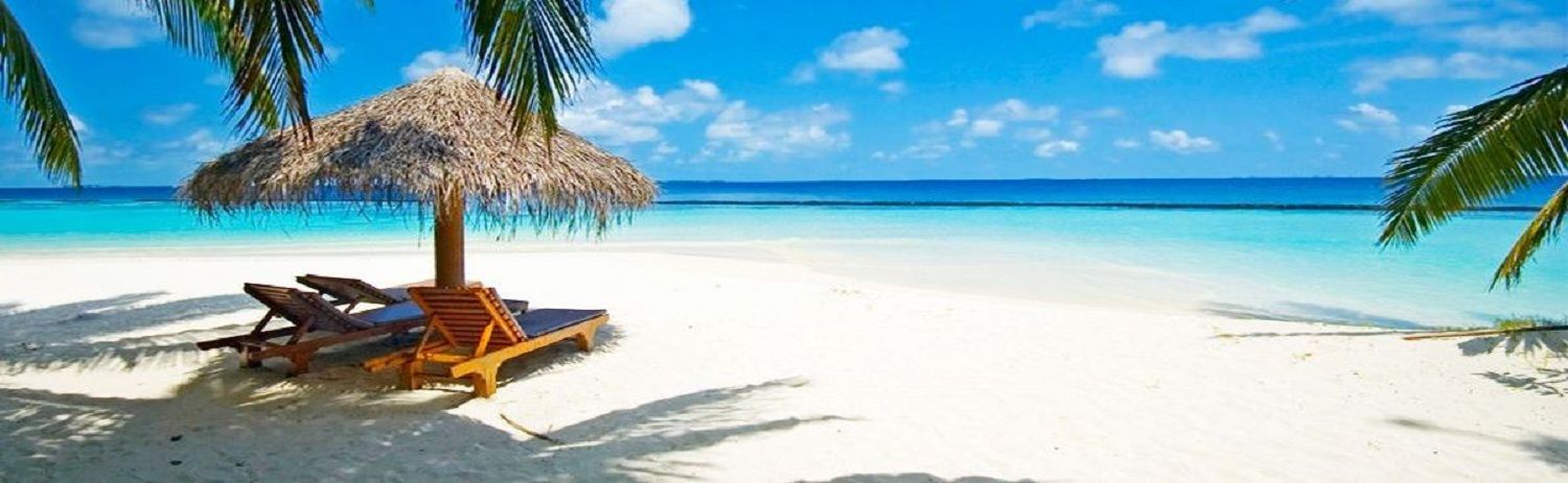 TransitParadise's profile banner image