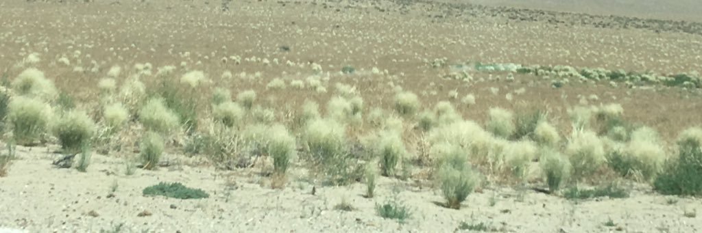 stevec105's profile banner image