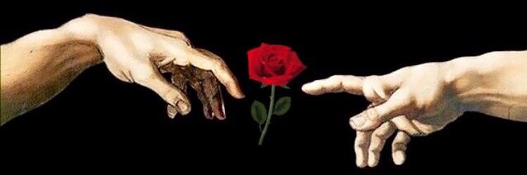 Alex_V_R_'s profile banner image