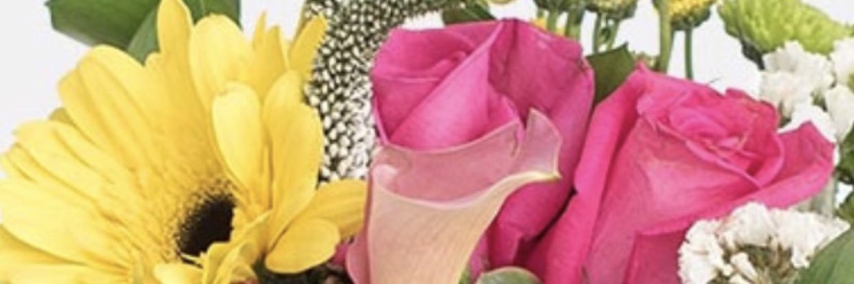 maeanne1966's profile banner image