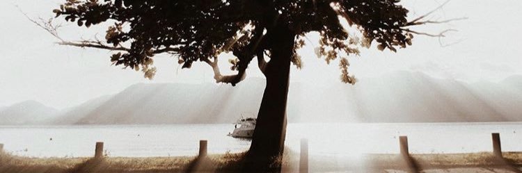 fernandamiguel_'s profile banner image