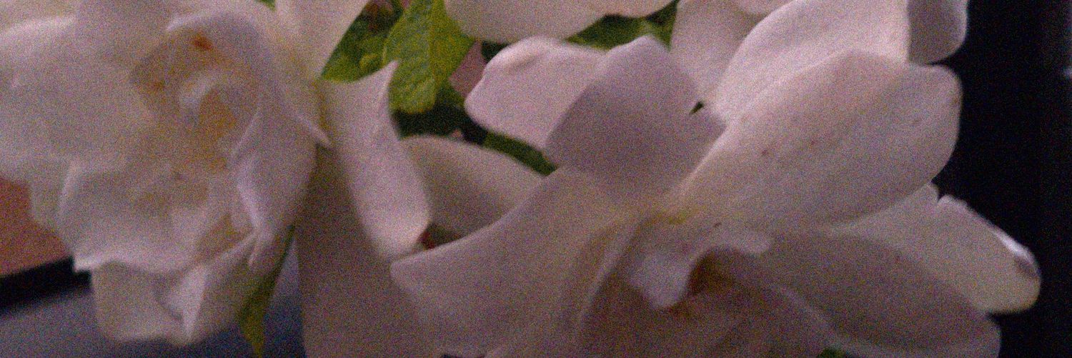 PrincesaCons's profile banner image