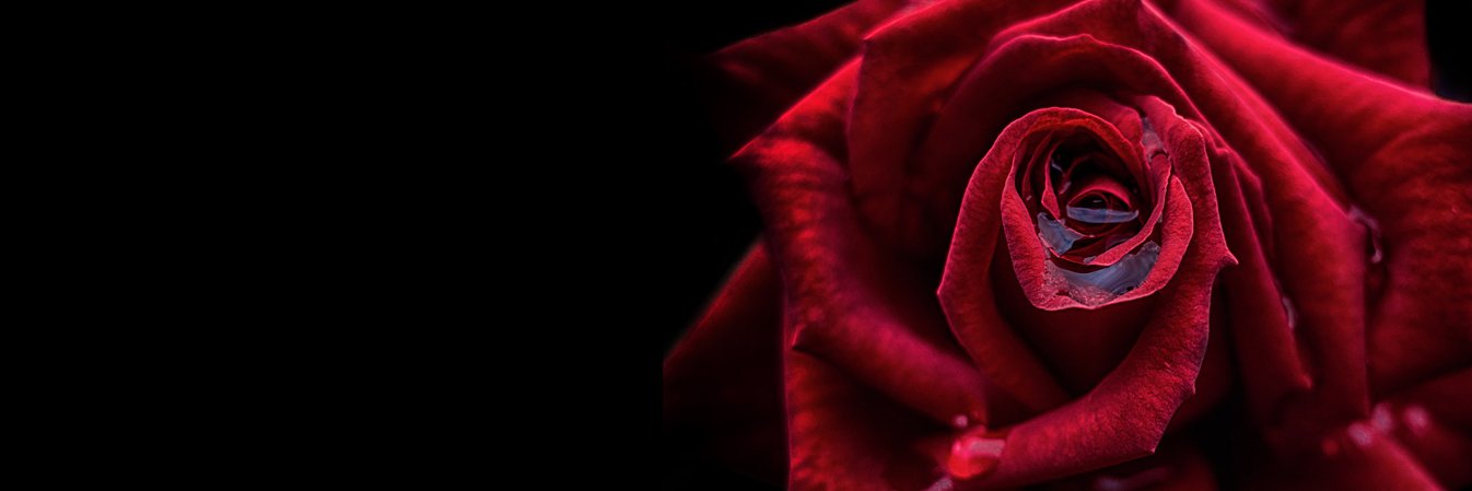 mitsuosuzuki's profile banner image