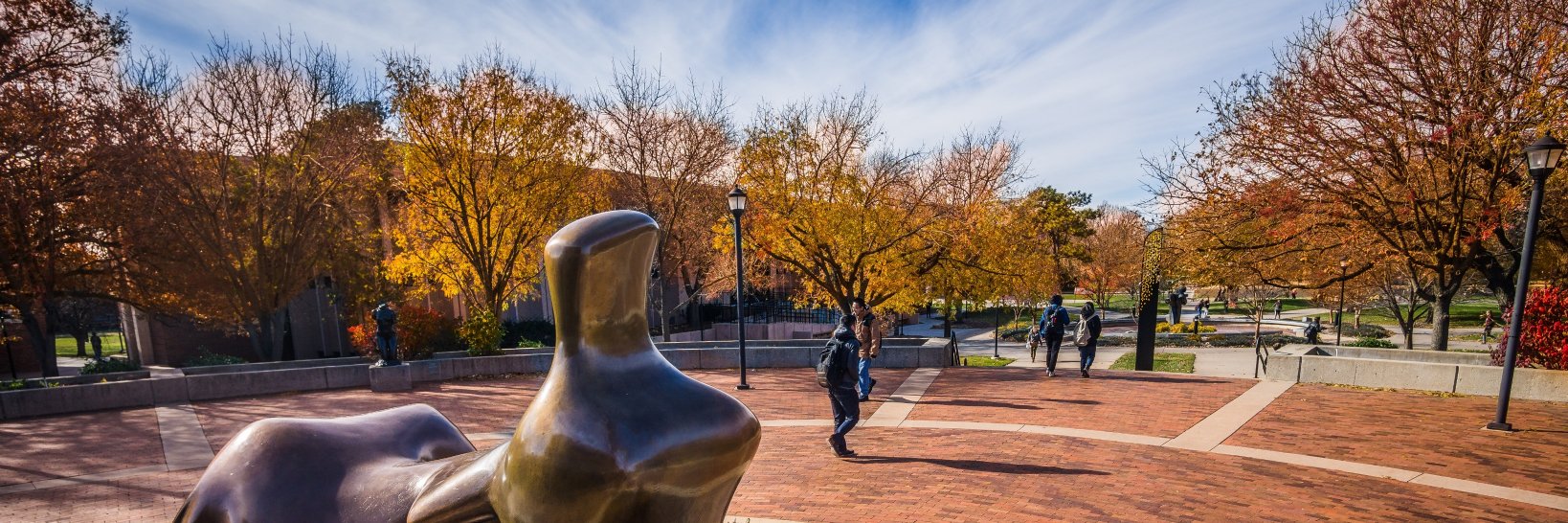 wsulibrary's profile banner image
