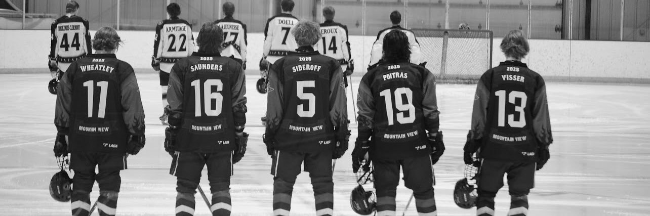 MountainView Colts banner