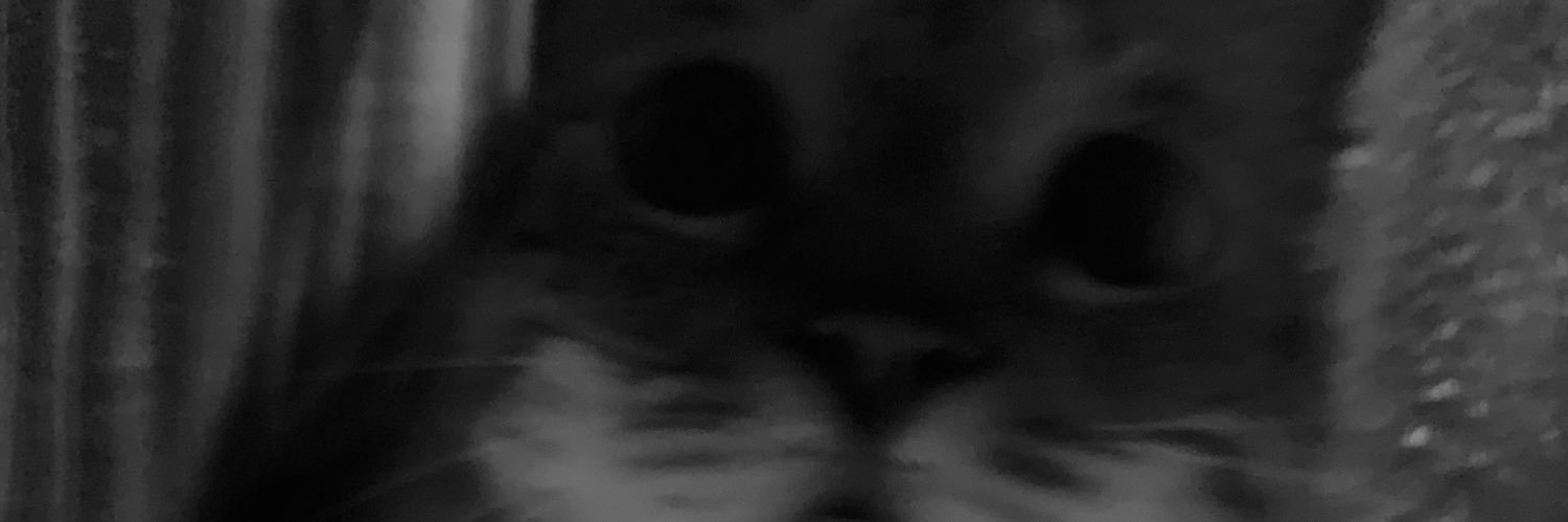 peraltati_'s profile banner image