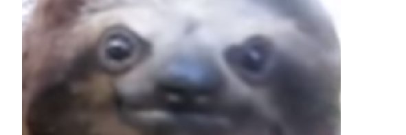 Sasha_FRG's profile banner image