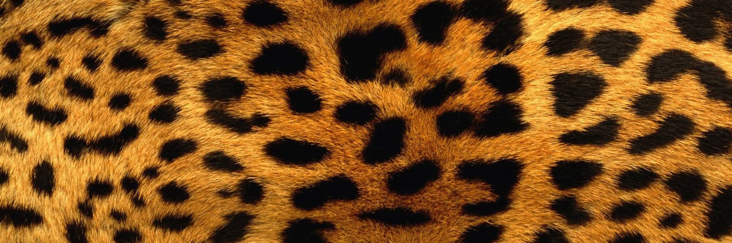 deannamarriott_'s profile banner image