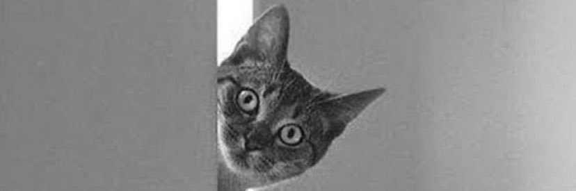 ES banner