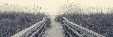 WeBSalmon's profile banner image
