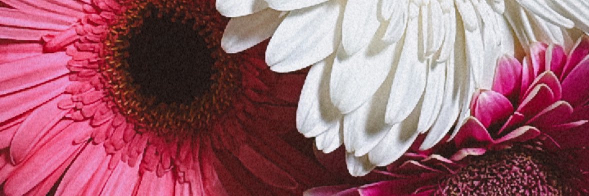 anny_rcc's profile banner image