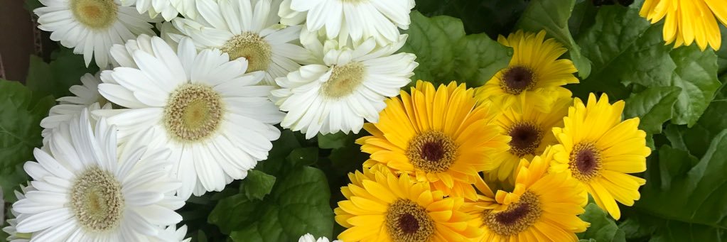 CourtneyBecke11's profile banner image