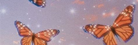 HiddenPixieInc's profile banner image