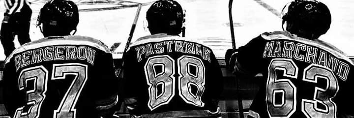 Mike Bruins Goetz banner