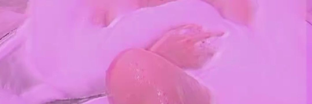 Bianglala🍑 banner