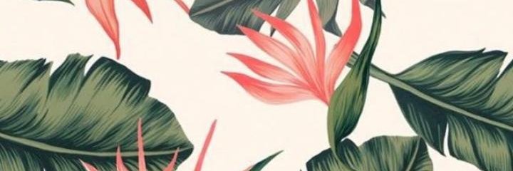 SamiiNadine's profile banner image