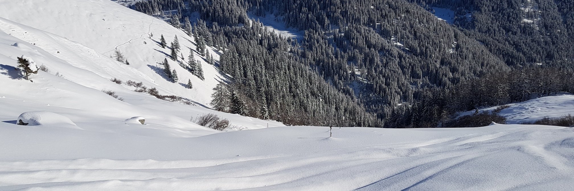 Marcel_Lang's profile banner image
