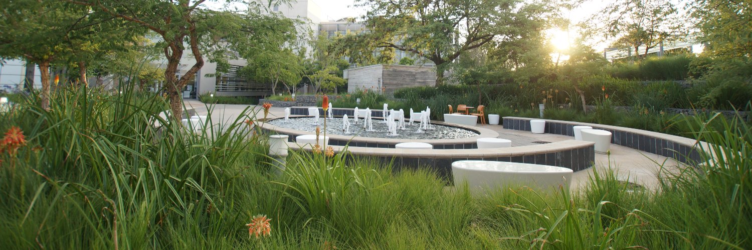 Bidvest Top Turf banner