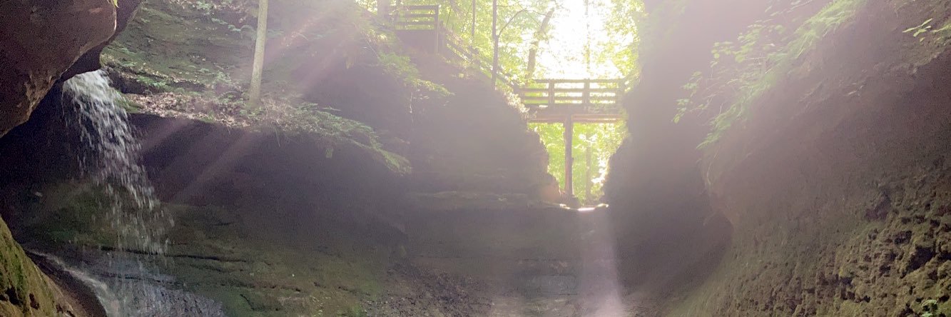 Elizabeth Lugo 💙 banner