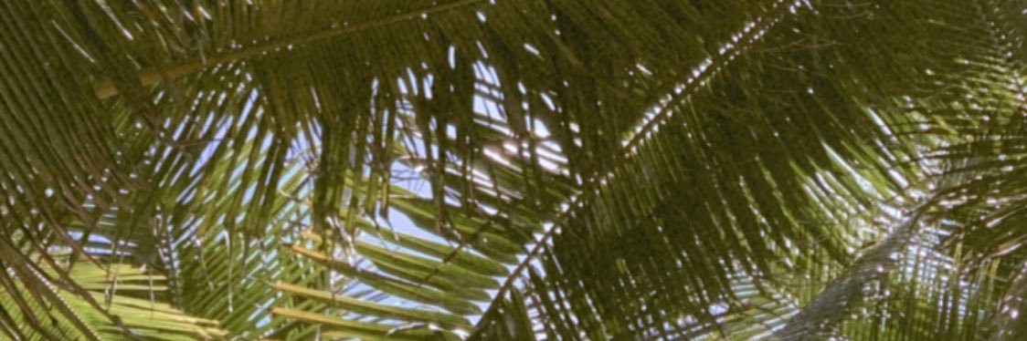 MeliniMusic's profile banner image