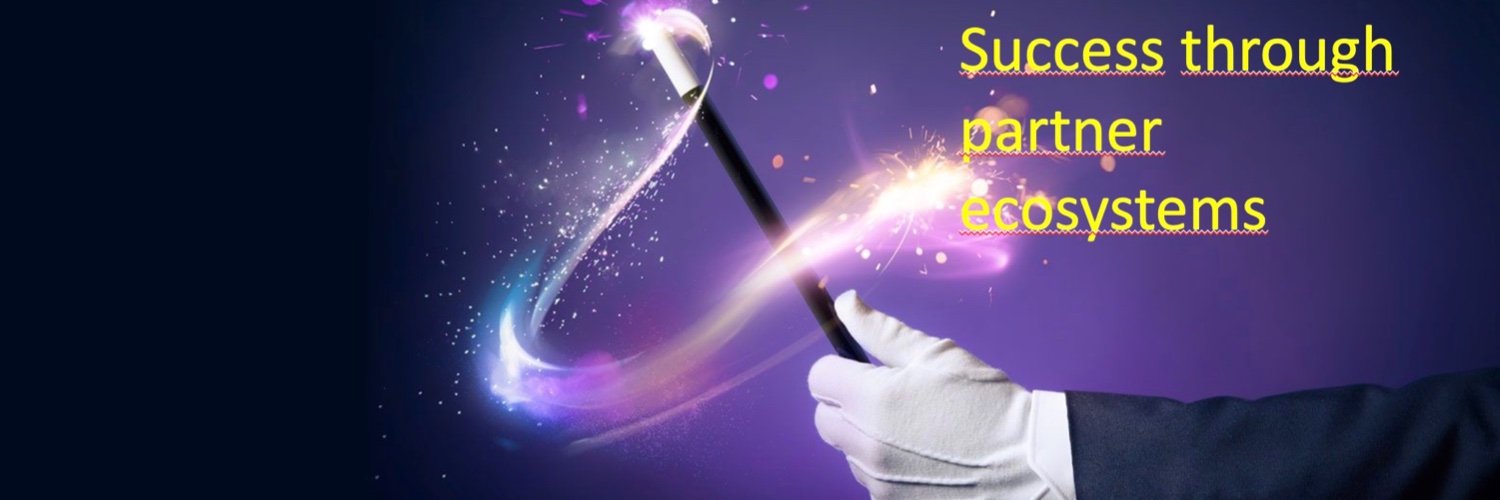 Harald Murgas banner