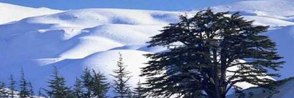 RaymondFHakim Profile Banner