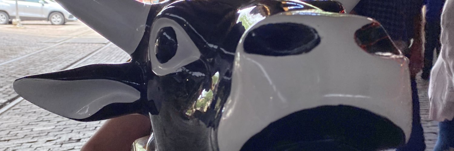 foo5ohh's profile banner image