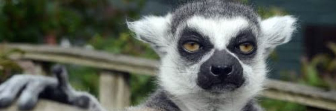 Baba wa Ubatizo banner