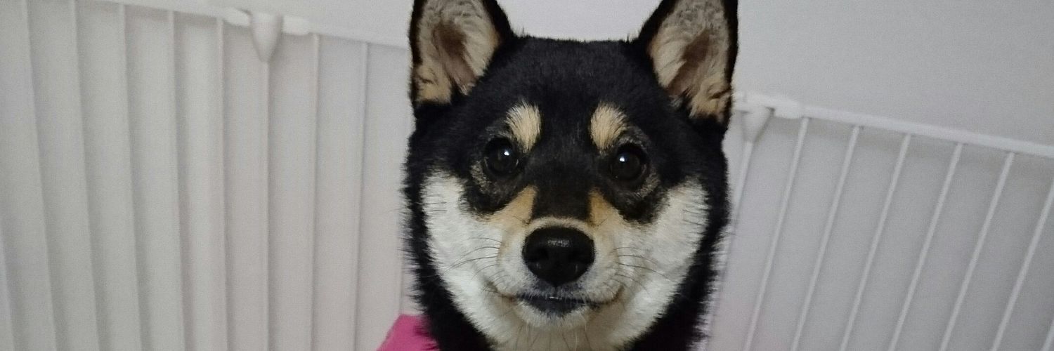 るなれお日和響@ママ banner