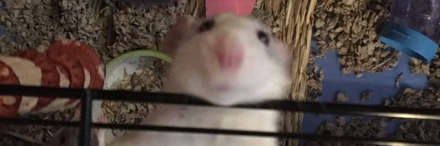 naatbread's profile banner image