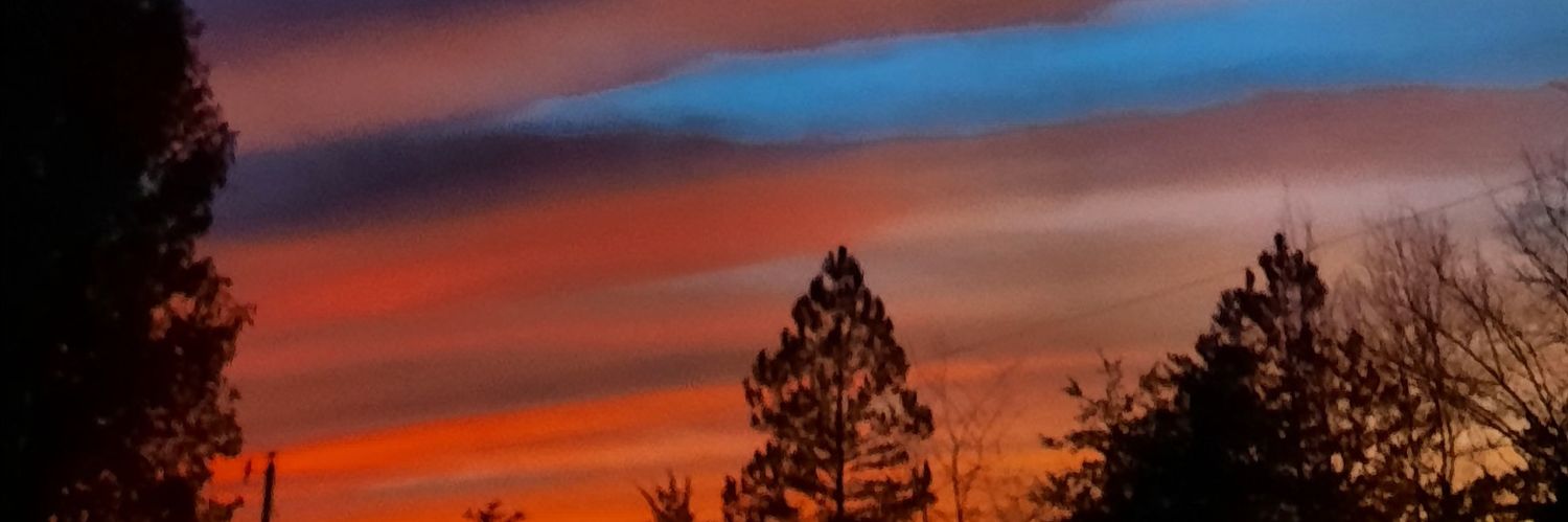 elkMichelle's profile banner image