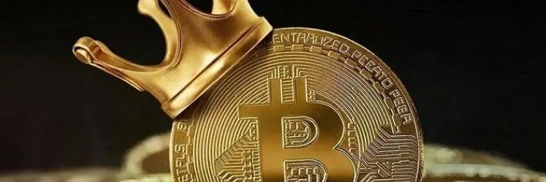 Crypto圣泽 $M | 🐜's banner