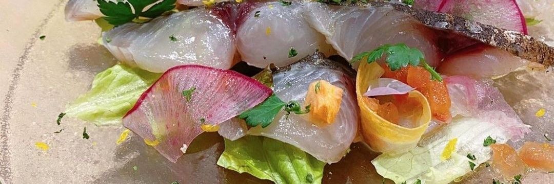 とっし一 banner