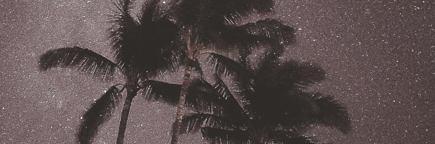 syubiased's profile banner image