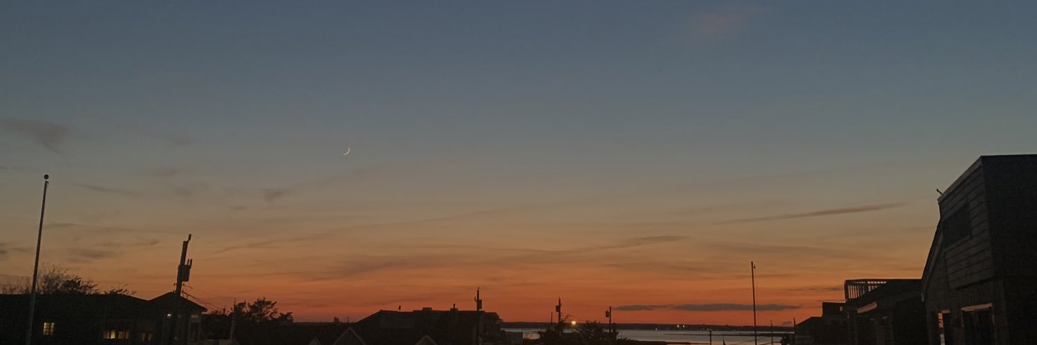Savannah_Moon1's profile banner image