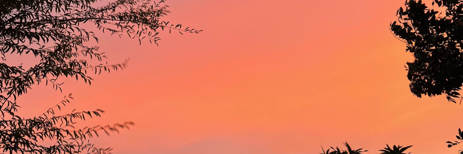 SolCasco_'s profile banner image